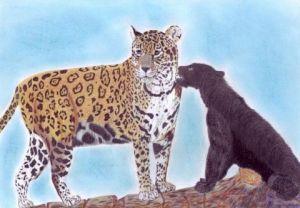Voir le détail de cette oeuvre: Deux léopards